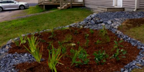 Rain garden outside of residential area