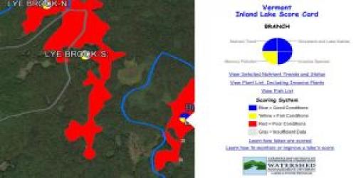 Screenshot of Lake Scorecard for Branch Pond in Sunderland VT