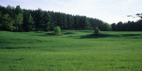 Large grassy field