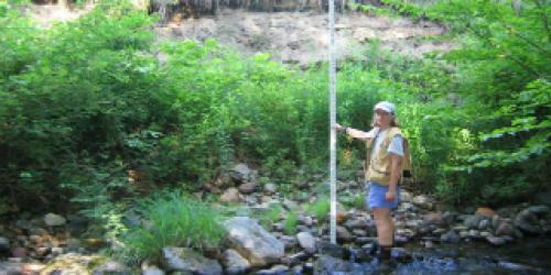 Scientist working in streambed