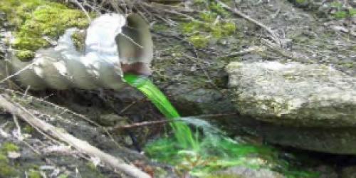 neon green trace dye flows out of a corrugated metal pipe into a natural area