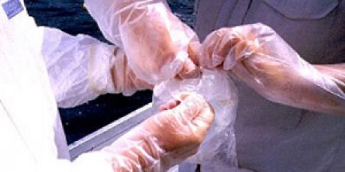 Hands encased in plastic gloves for monitoring for mercury