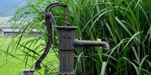 Hand water pump nestled in greenery