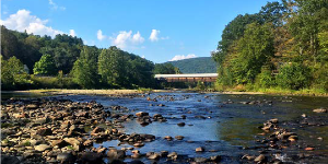 A river running through a forest of trees with a blue sky