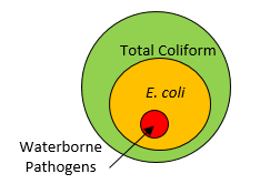 waterborn pathogen venn diagram