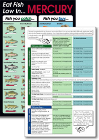 Fish Advisory Card