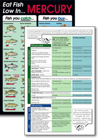 mercury contamination in fish