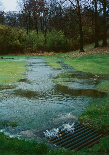 stormwater gathering in a yard and flowing down a drain