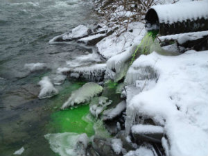 neon green water flowing from a stormwater pipe into a large body of water