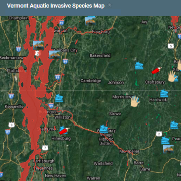 A screenshot of the Vermont Aquatic Invasive Species Map.