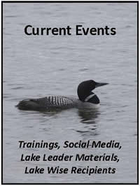 Loon swimming - link to Current Events - training, social media, lake leader materials, lake wise recipients