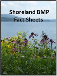 vist of lake with wildflowers in foreground and hills on the distant shore - link to Shoreland BMP Fact Sheets