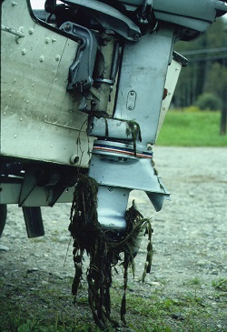 A boat's outboard mootor with Eurasian watermilfoil attached