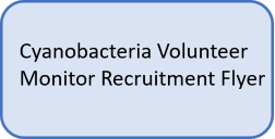 Icon to access cyanobacteria volunteer monitoring recruitment flyer