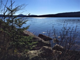 A picture of Averill Pond in Averill VT, A low nutrient lake