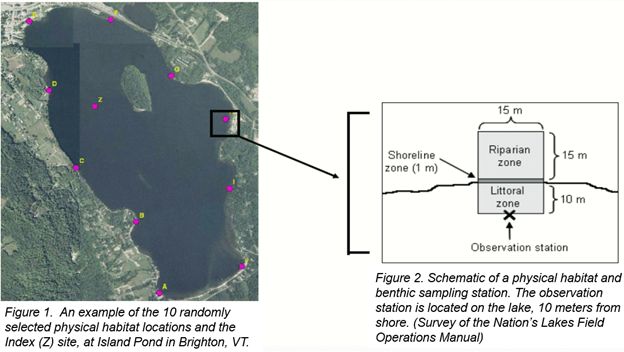 On the left is an aerial image of Island Pond with colored dots for 10 physical habitat locations.  On the right is a schematic of a physical habitat and benthic sampling station.
