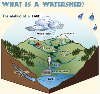 Diagram of a watershed