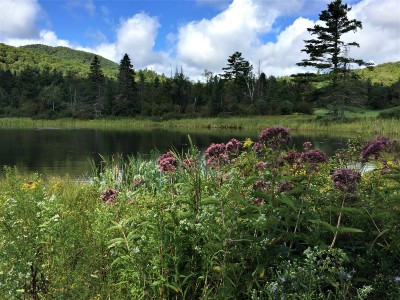 Scenic Photo of Clark Pond in Glover, Vt