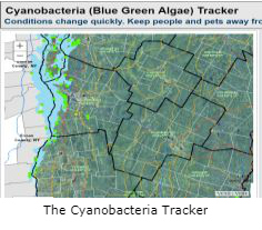Screenshot of the cyanobacteria tracker - link to the cyanobacteria tracker