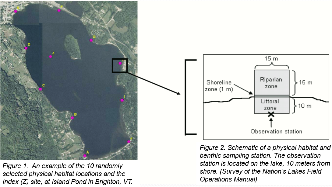 an aerial photo with dots depicting sample points, with physical habitat areas sizes shown for a specific point along the shoreline