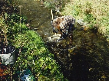 woman wading in stream sampling with kick net method 