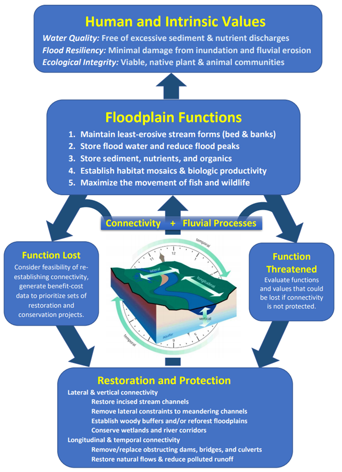 Functional Floodplain Initiative Flow Diagram