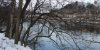 Tree-lined river while snow is on ground