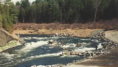 River after dam removal