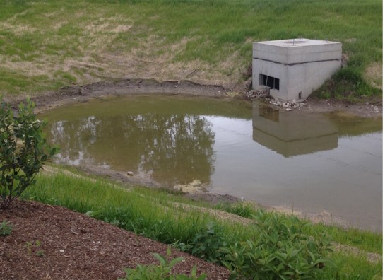 "Image of Stormwater Pond"