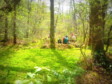 Enjoying the Black Gum Swamp.  Two people are seen sitting at the edge of a green mossy clearing in a forest.