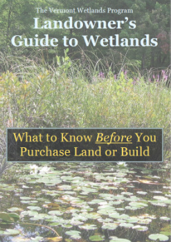Landowner's Guide to Wetlands Cover.  An image showing lily pads growing in the foreground and high grasses in the background.