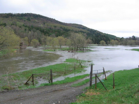 Water filling river floodplain.  In the lower left corner of the photo a dirt road is seen with green grass on each side.  The road goes down through a gate into a wide area of water which takes up the middle third of the photo.  The water covers almost everything except for a hill in the background on the left.  Above all a grey sky is seen which takes up the top third of the photo.