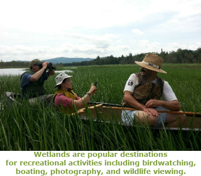 Three people canoeing in a wetland, using binoculars and taking photographs