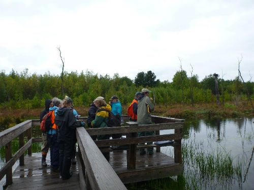 several people on boardwalk sited in a wetland