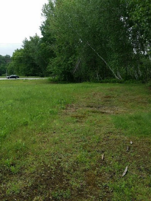 Mown field that is not an obvious wetland.  In the foreground a green grassy field is seen and in the background trees are seen and behind that is a dark colored car driving down a road.