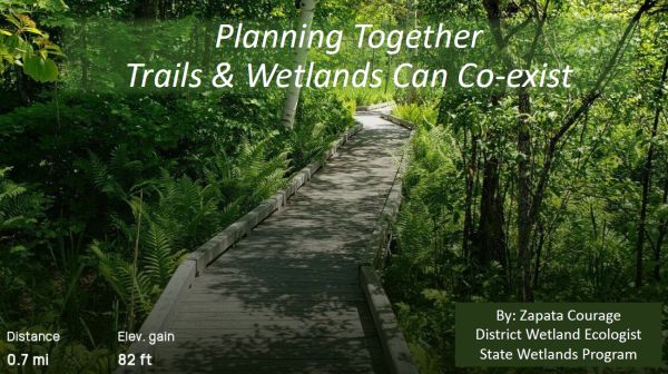 A view of a boardwalk through dense green vegetation.  Ferns are seen on either side and there are also trees on each side.