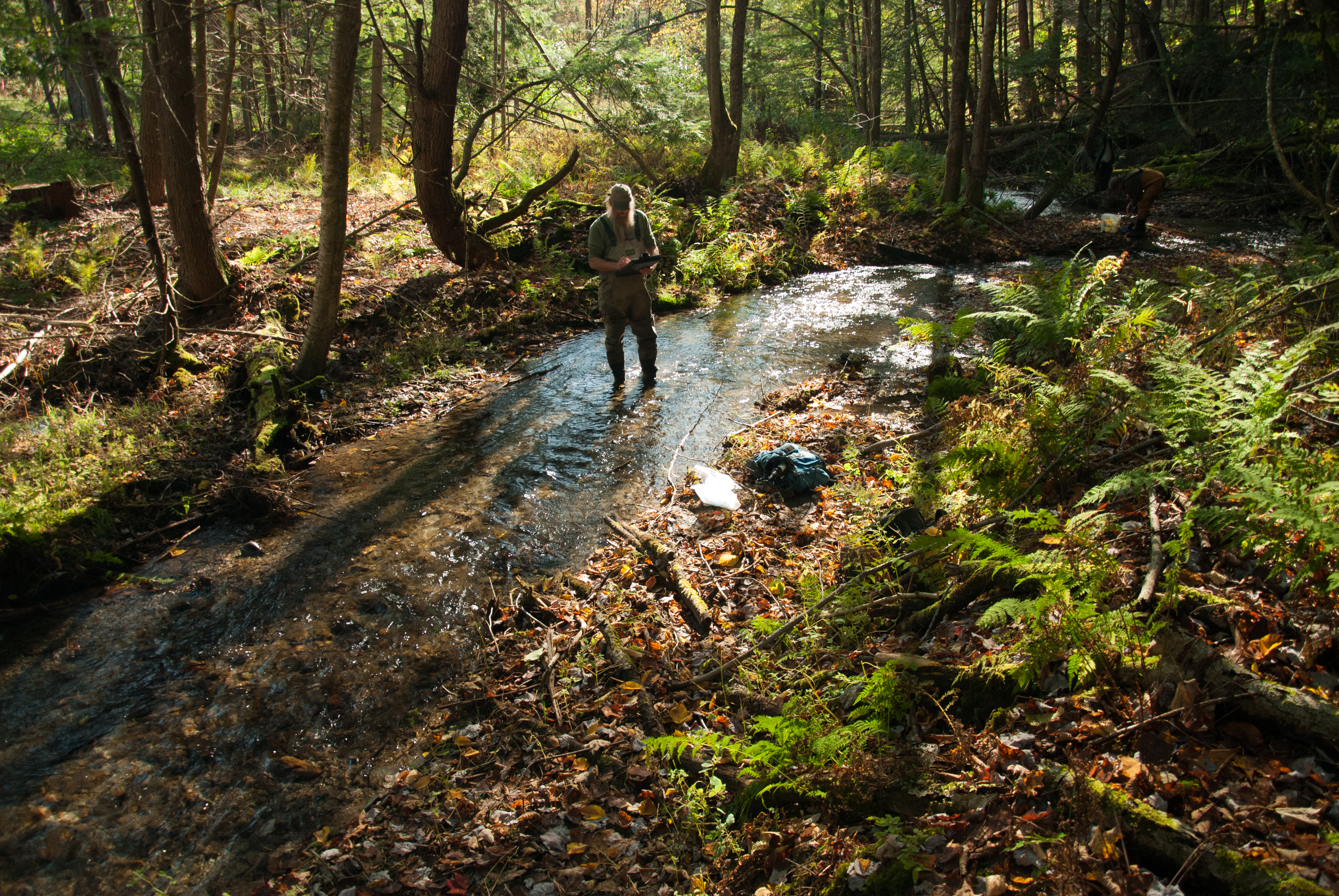 A man with wading pants writes on a clipboard while standing in a shallow stream.