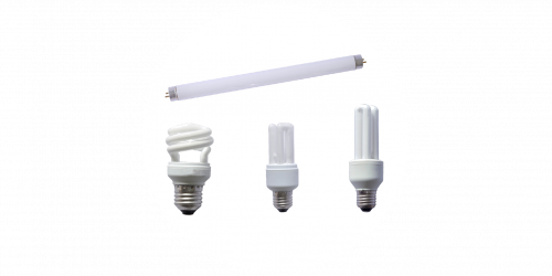 several types of light bulbs