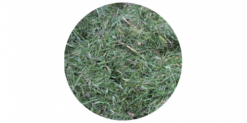 Grass clippings