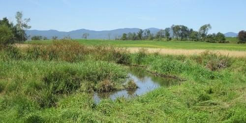 Farm with water