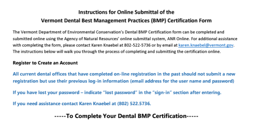 Image of the Instructions for online BMP self certification form