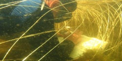 Scientist with snorkel and clipboard collecting data underwater