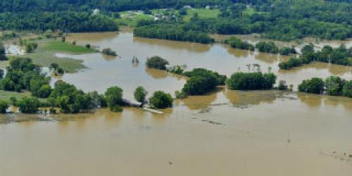 Floodplain along Otter Creek