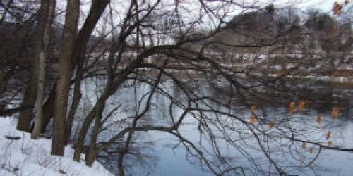 Tree lined river with snow on the ground