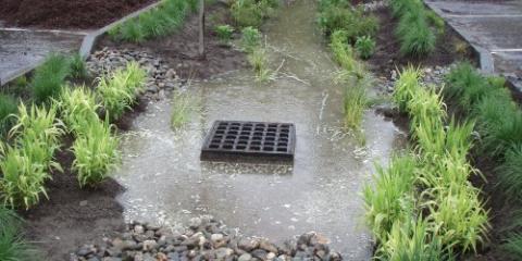 water pooling around stormdrain