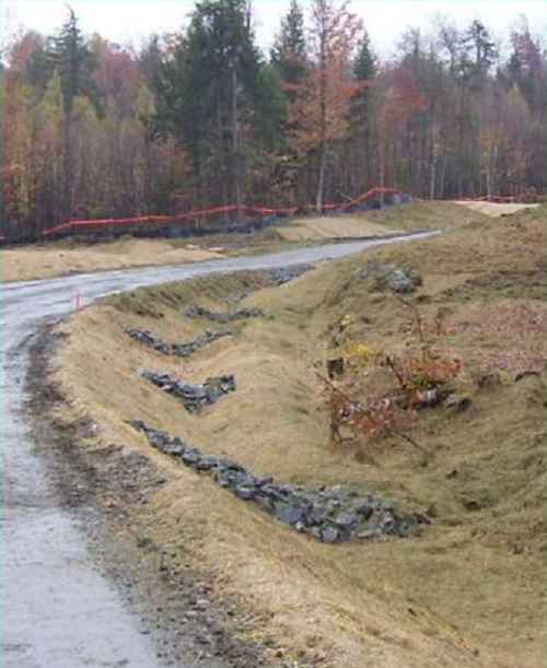 "Image of Check Dams"